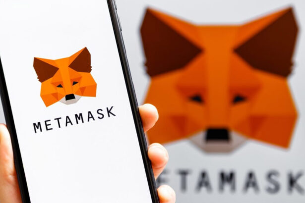 MetaMask Co-founder: Memecoins Highlight Web3 & AI Consent Issues