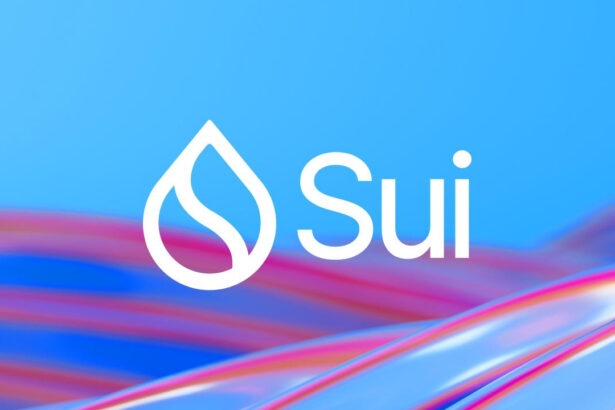 Sui Network Back Up After 2-Hour Outage, Price Drops