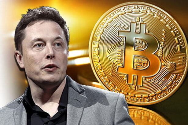 Elon Musk Discloses Crypto Holdings