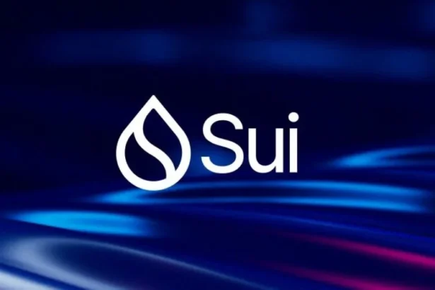 Sui Price Drops After First Major Network Outage