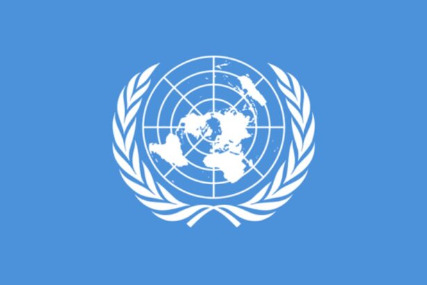 United Nations Launches Blockchain Academy