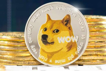 Dogecoin Foundation Seeks Support for 2025 Plans