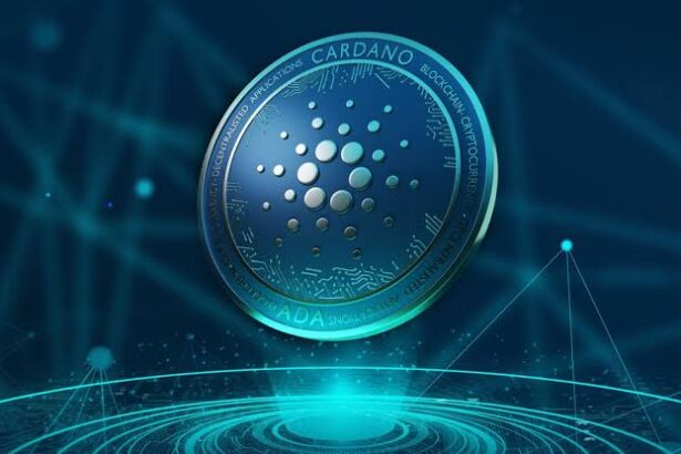 Cardano Hydra Launches Gamified Test, ADA Reacts