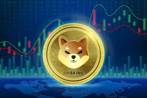 Shiba Inu Burn Rate Soars, Price Target Rises