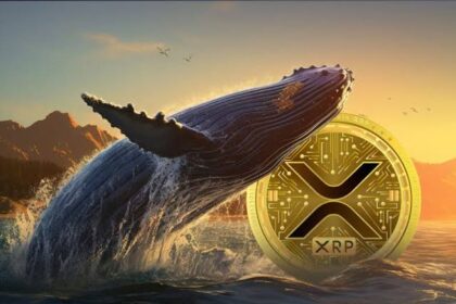 XRP Whales Move 139M Coins as Case Nears End