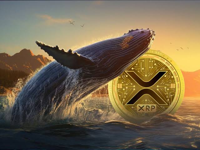 XRP Whales Move 139M Coins as Case Nears End