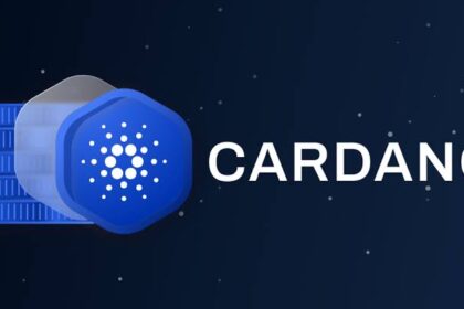 Cardano Foundation Held $478M in Assets in 2023