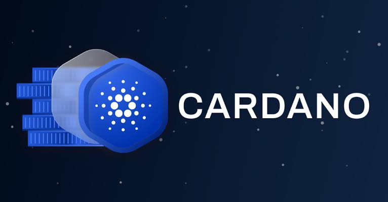 Cardano Foundation Held $478M in Assets in 2023