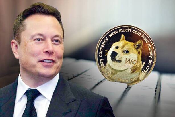 DOGE Price to Reach $2.4 Following Elon Musk's D.O.G.E. Update