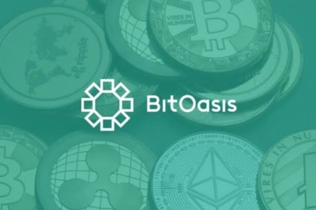 BitOasis Secures Full VASP License from Dubai’s VARA