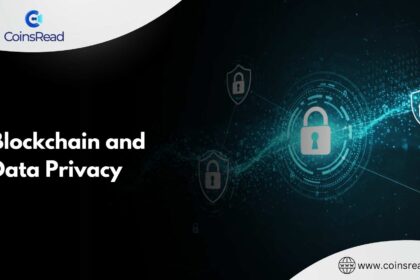 Blockchain and Data Privacy